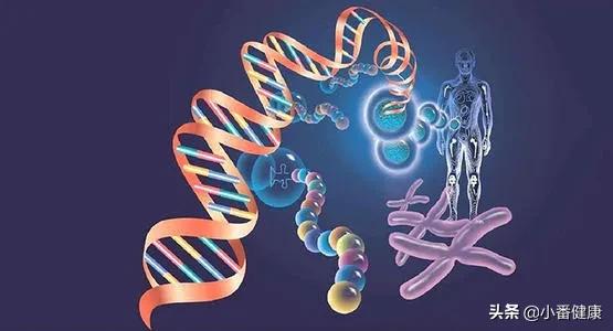 干扰素治疗乙肝的药理作用,乙肝干扰素机制