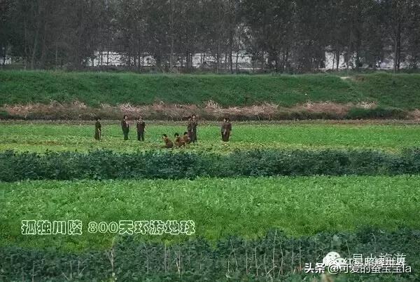 朝鲜七八十年代农村照片,80年代朝鲜老照片农村