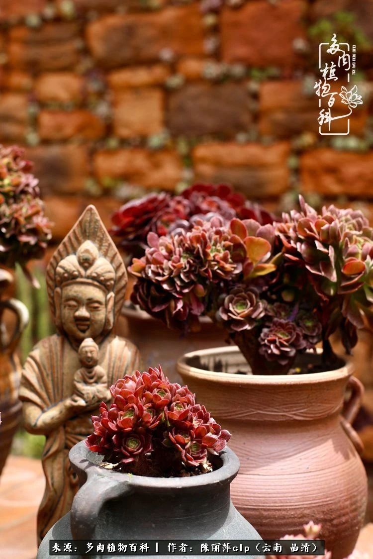 佛系看风景的地方,佛系风景空境视频