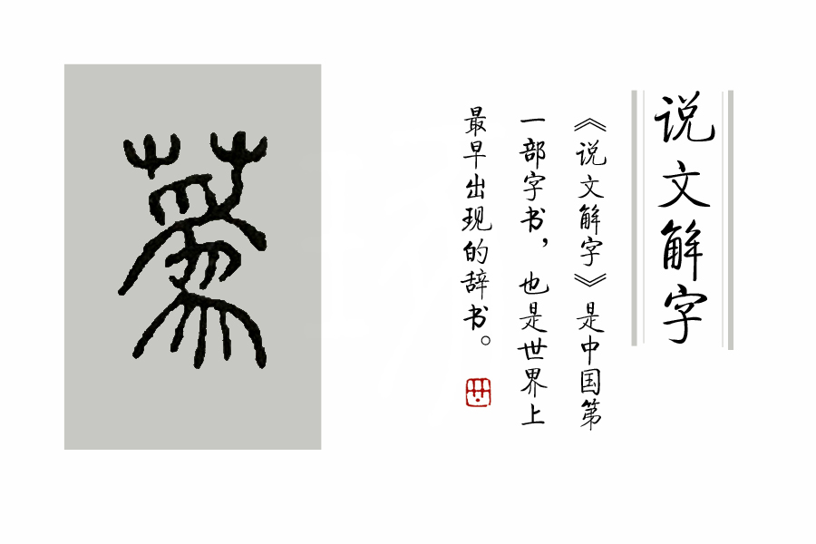 《说文解字》第72课：古文字里的“扫帚菜”？