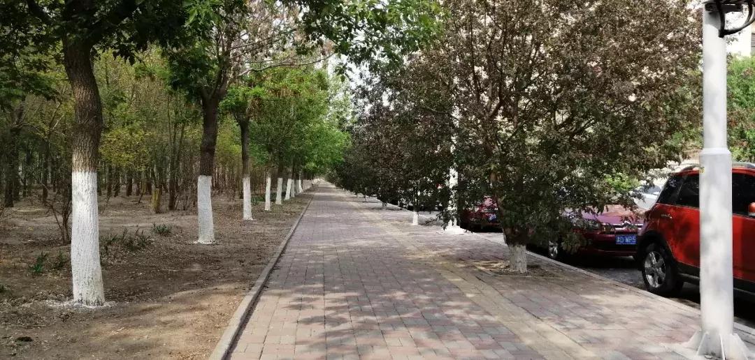 武清低总价优质小区,武清不值得买的小区排名