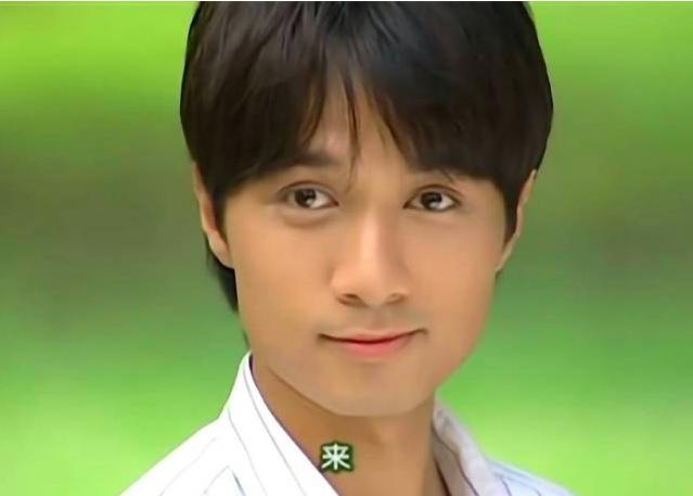 前十位琼瑶剧男明星中分别都有谁,用现在的眼光看十年前