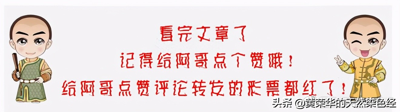 植物染布项目,植物染色工艺有几步