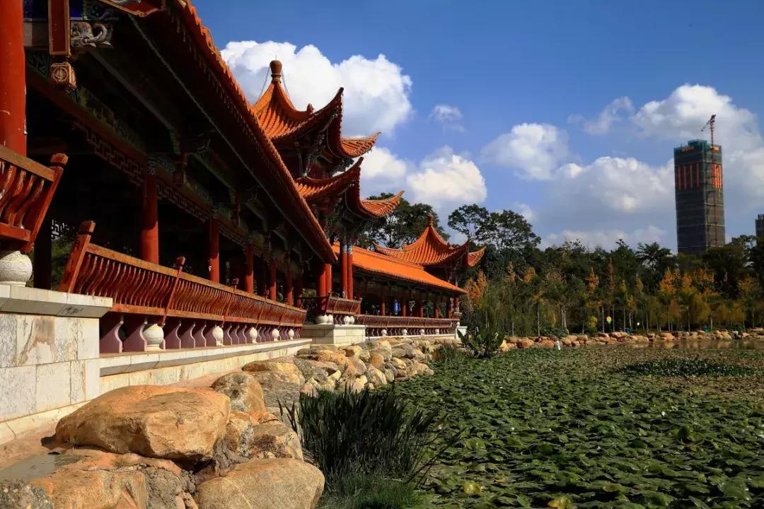 未来昆明发展潜力最大城市,昆明和青岛哪个城市发展潜力大