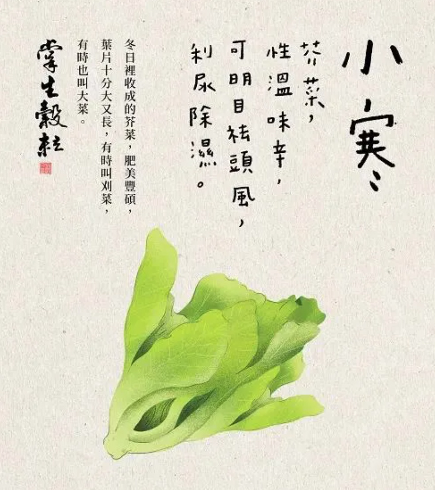 台湾掌生谷粒：24节气海报设计