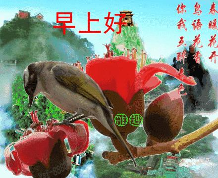 早上好图片带字逗人开心表情包,最新的精美的优雅的早上好表情包