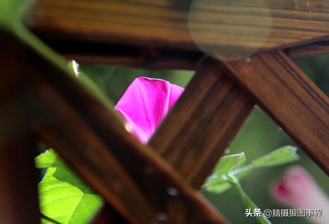 佳能6d现在有新的吗,佳能6d相机寿命多少时间