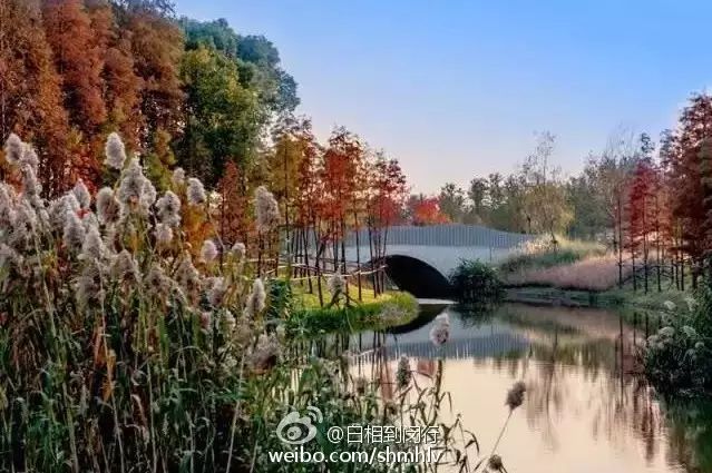 上海最低调的富豪家族,上海的隐藏富豪住在哪里