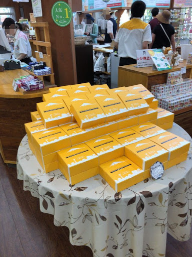 沿“线”旅行 | 富士山下遛娃好去处，好吃好玩儿还不贵