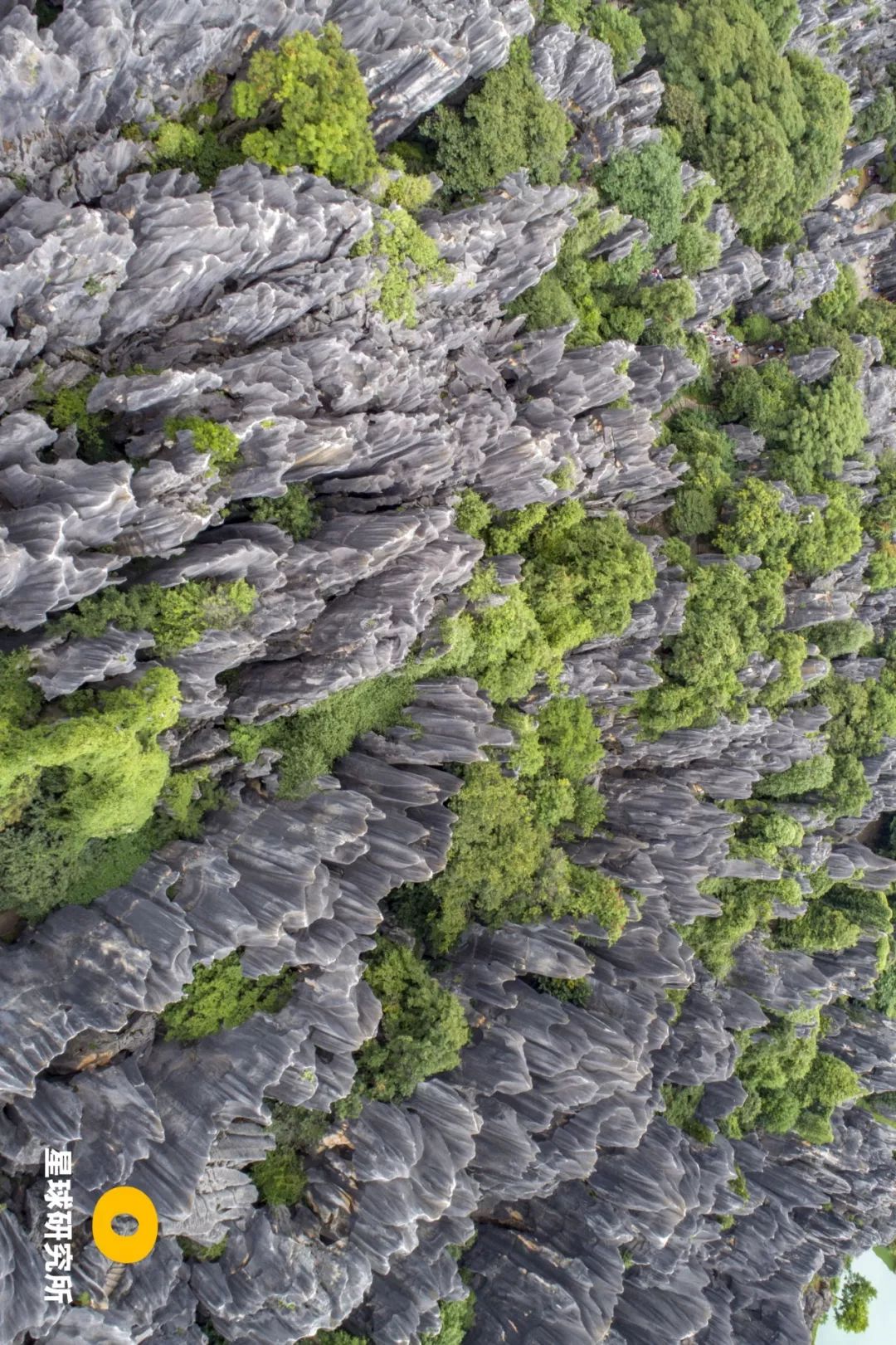 中国南方喀斯特的组成,中国南方喀斯特地貌原因