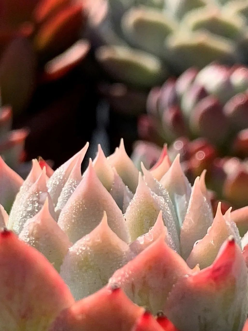 禁足的日子收获颇多,禁足