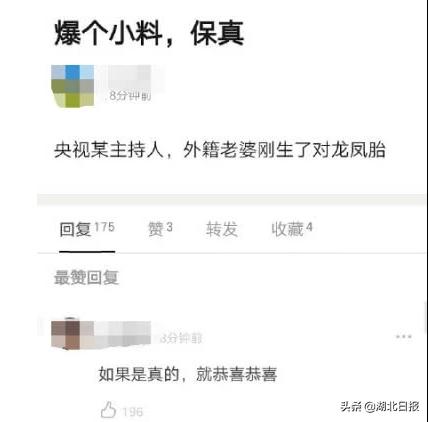 撒贝宁湖北人,撒贝宁武汉伢歌曲视频