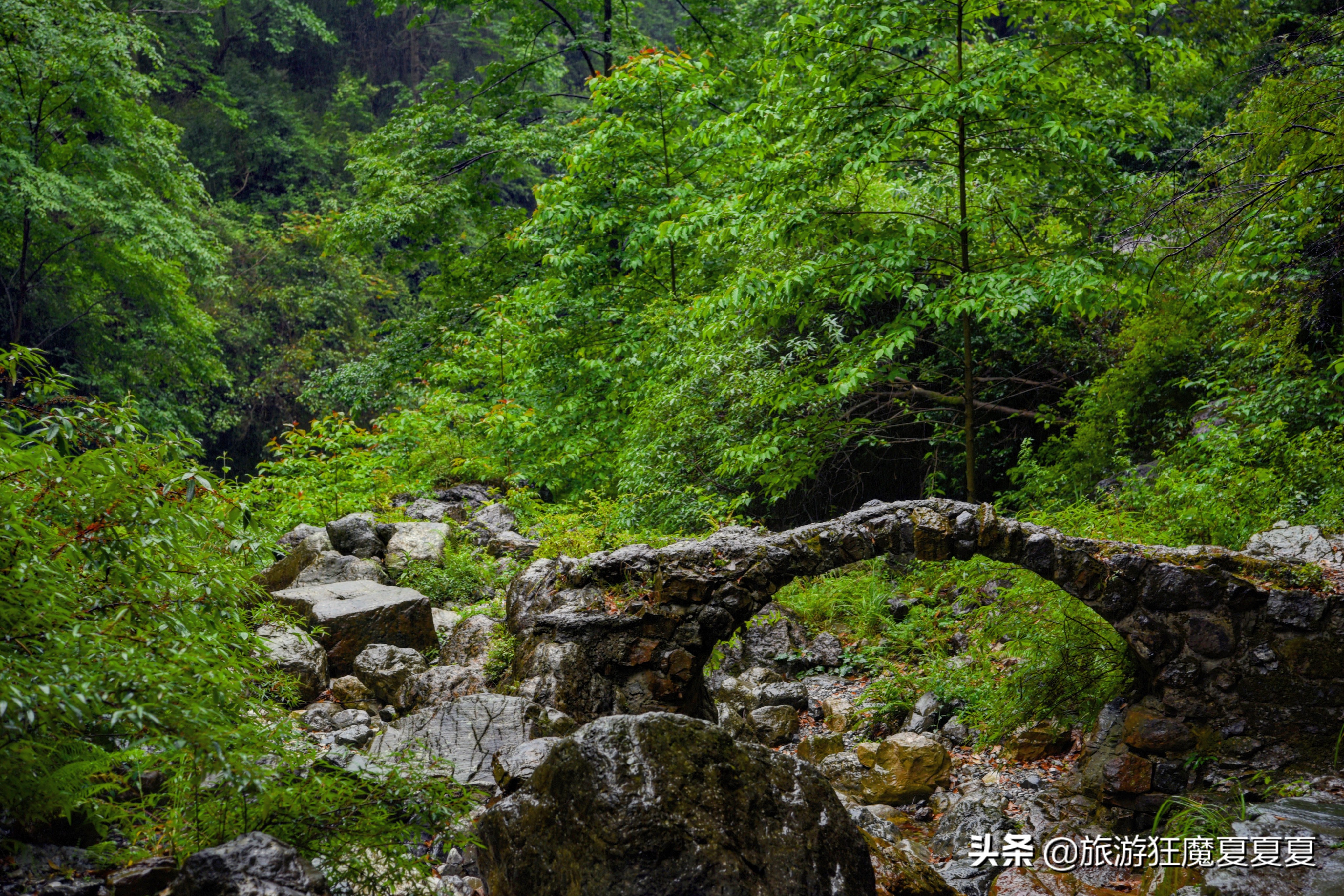 看似危险实则安全的溪降，在成都周边就有，运动员：不怕就行