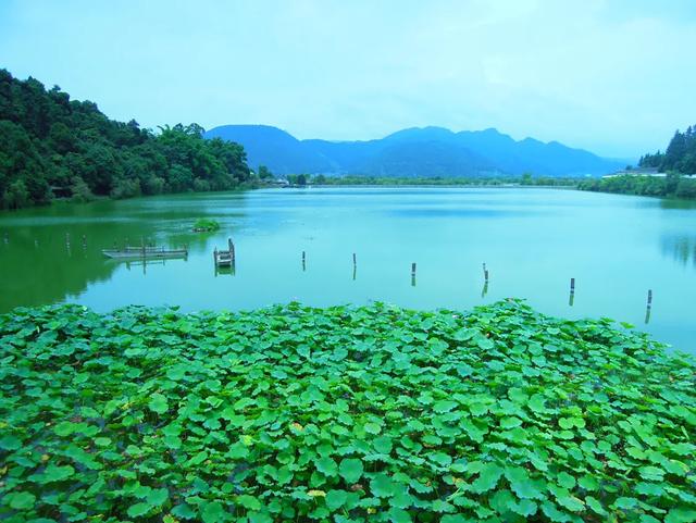 玩遍全云南,玩遍云南