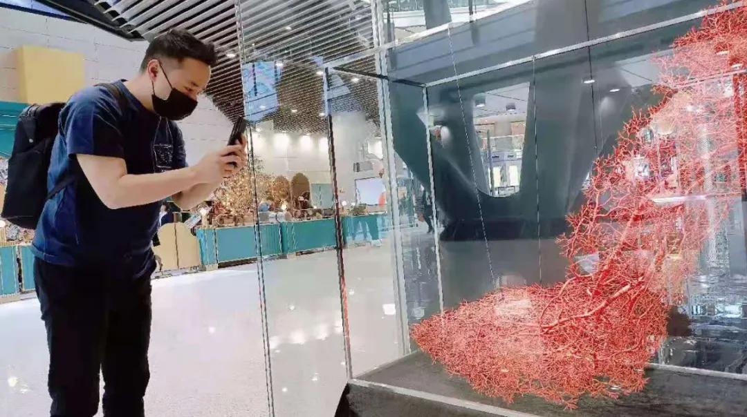 聚是一团火散是满天星完整的,聚是一团火散是满天星