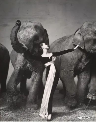 意大利大学摄影专业,意大利时尚课程学什么