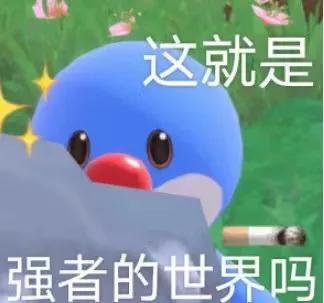 考雅思可以免学费吗,哪些大学报销雅思