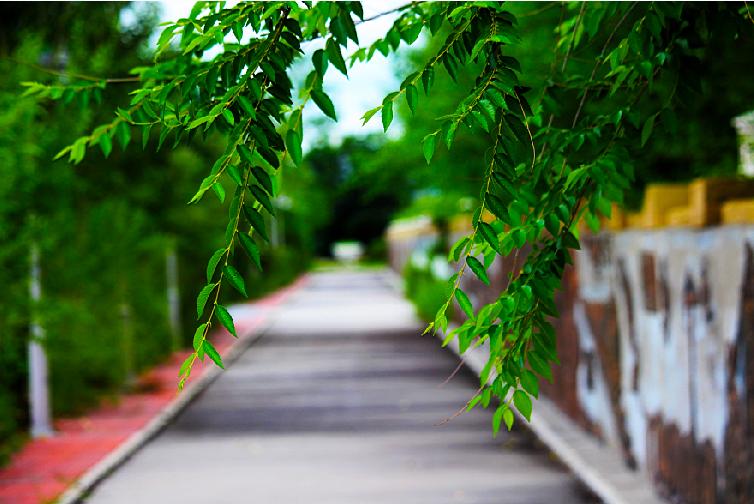 扎赉诺尔百年矿山,扎赉诺尔露天矿景区