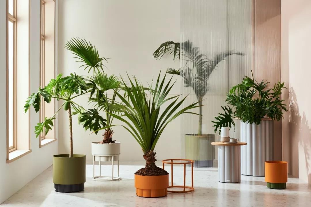 新中式国风中国风,国风彰显中国文化自信