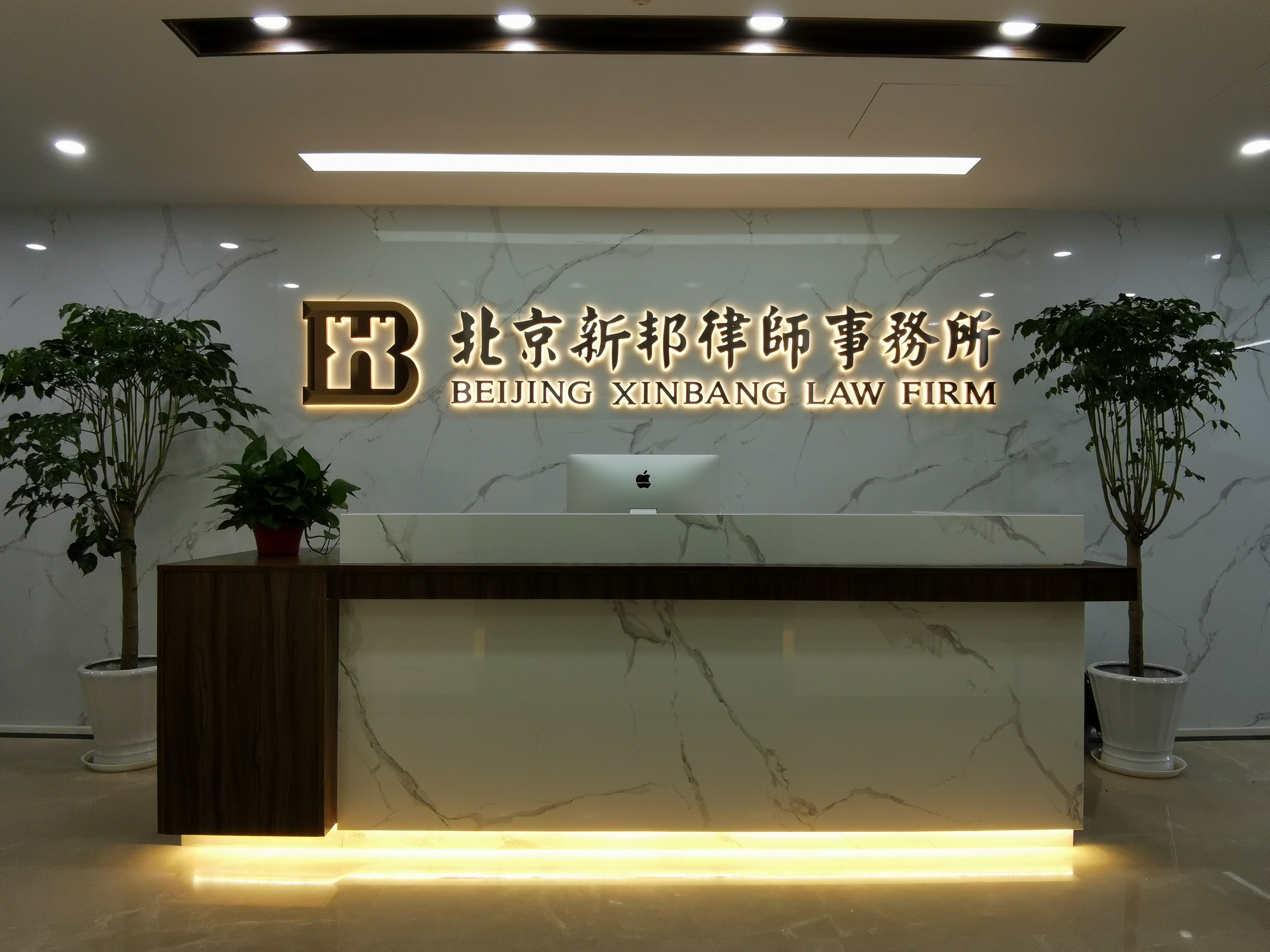 诉讼期间被告公司注销如何上诉,被告公司被注销怎么申请再审