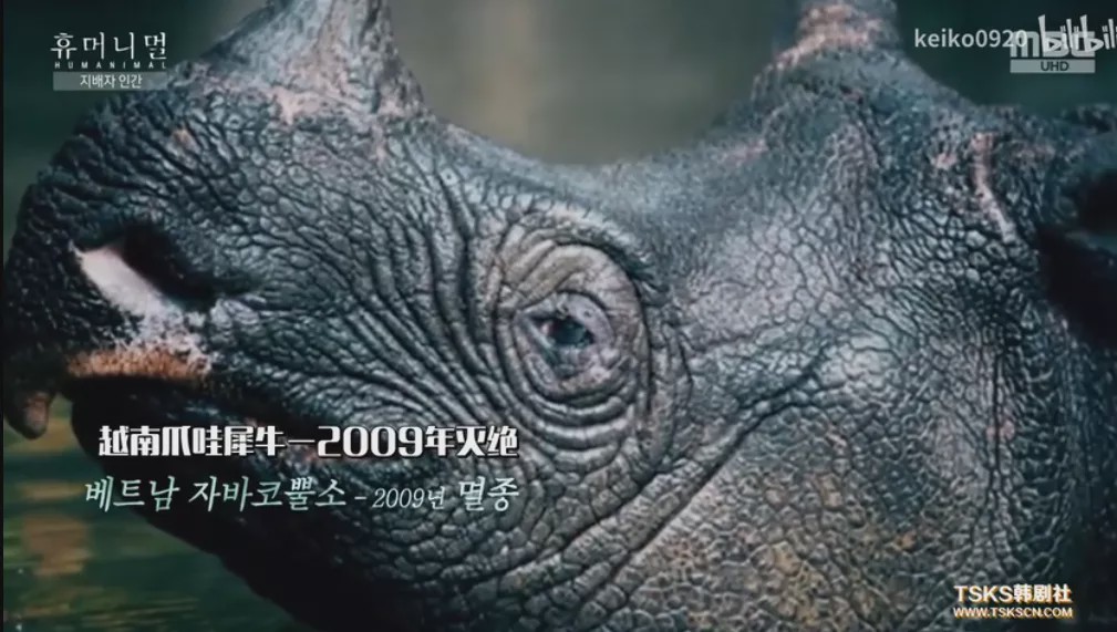 15岁怀孕，她被骗吃下*药炸**，一尸两命：有些人，这辈子不配为人