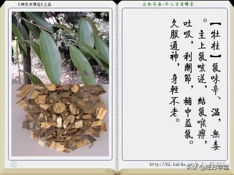 金方书院学习思辨录（一）原创：沧州二院马培锋