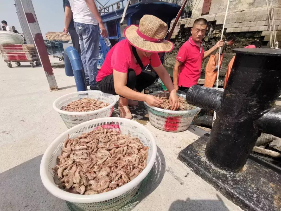 有一种炫富叫青岛开海啦,青岛炫富最新方式