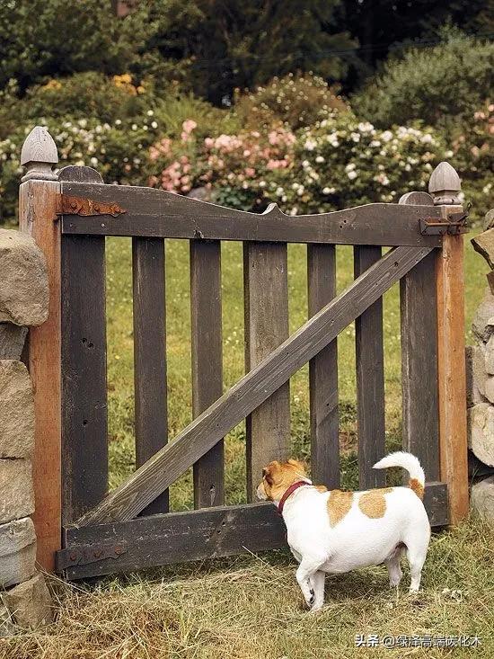 庭院栅栏门制作,庭院围墙护栏栅栏门