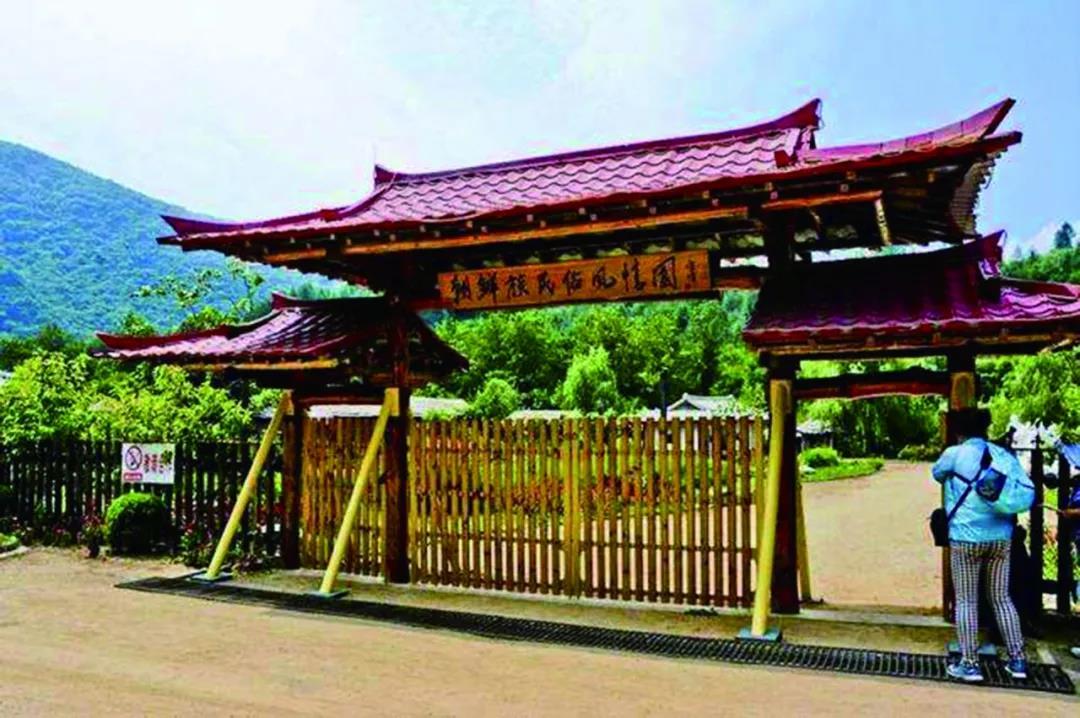 沈阳市新闻12月5日,沈阳新闻15日微博