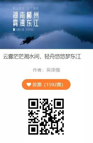 canva和135编辑器,135编辑器微信公众号排版