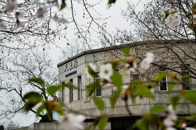 大连海事大学和辽宁省哪个级别高,大连海事大学辽宁省大学排名