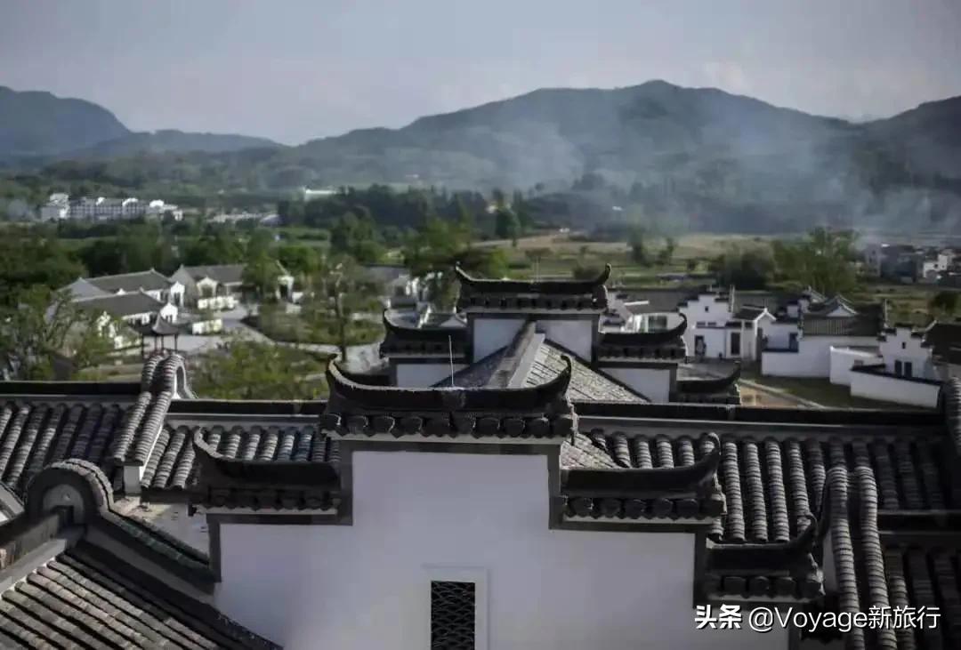 旅行民宿春天赏花,花海度假胜地