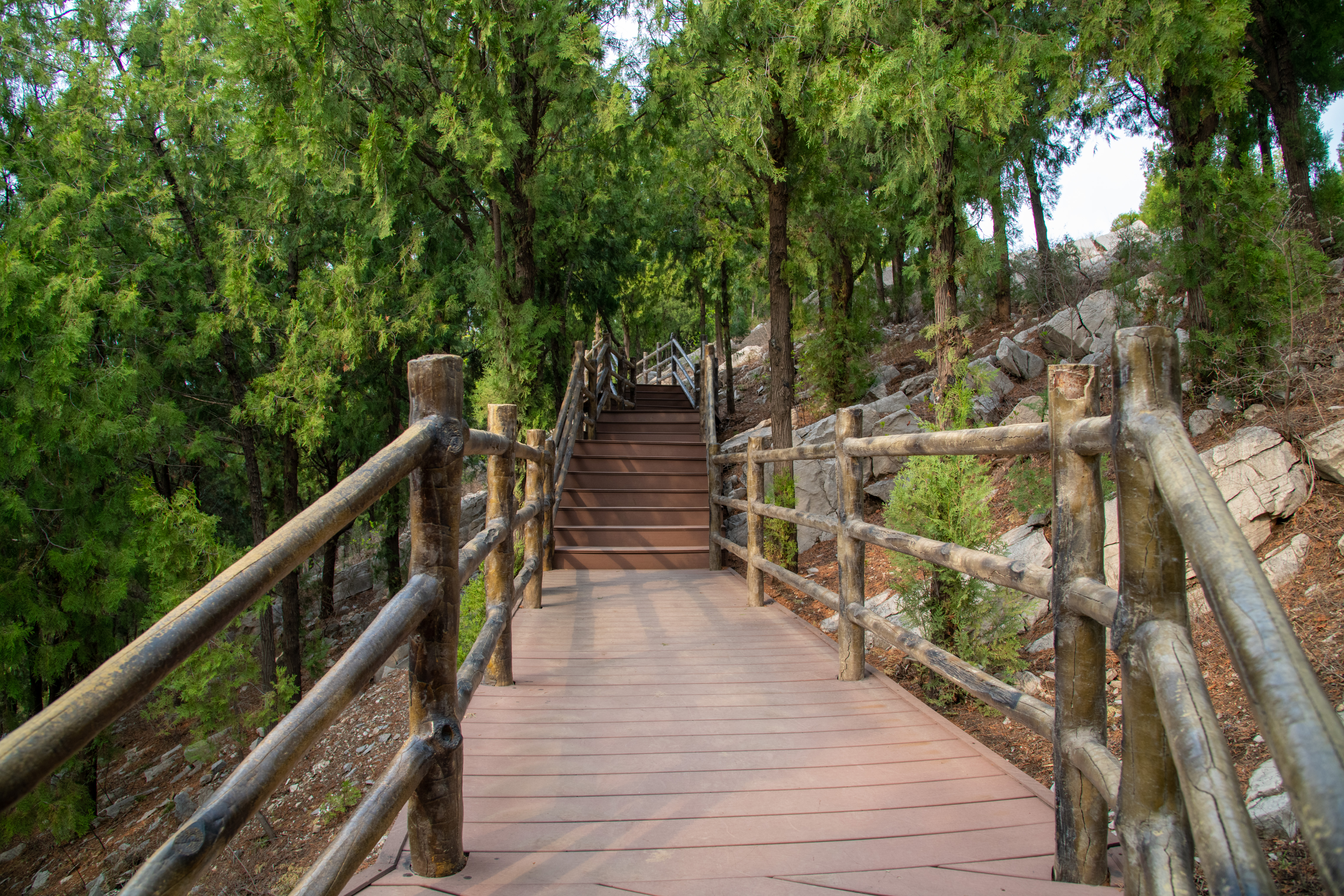 济南周围城市看海的好地方,济南有个生态绿肺秋色斑斓惹人醉