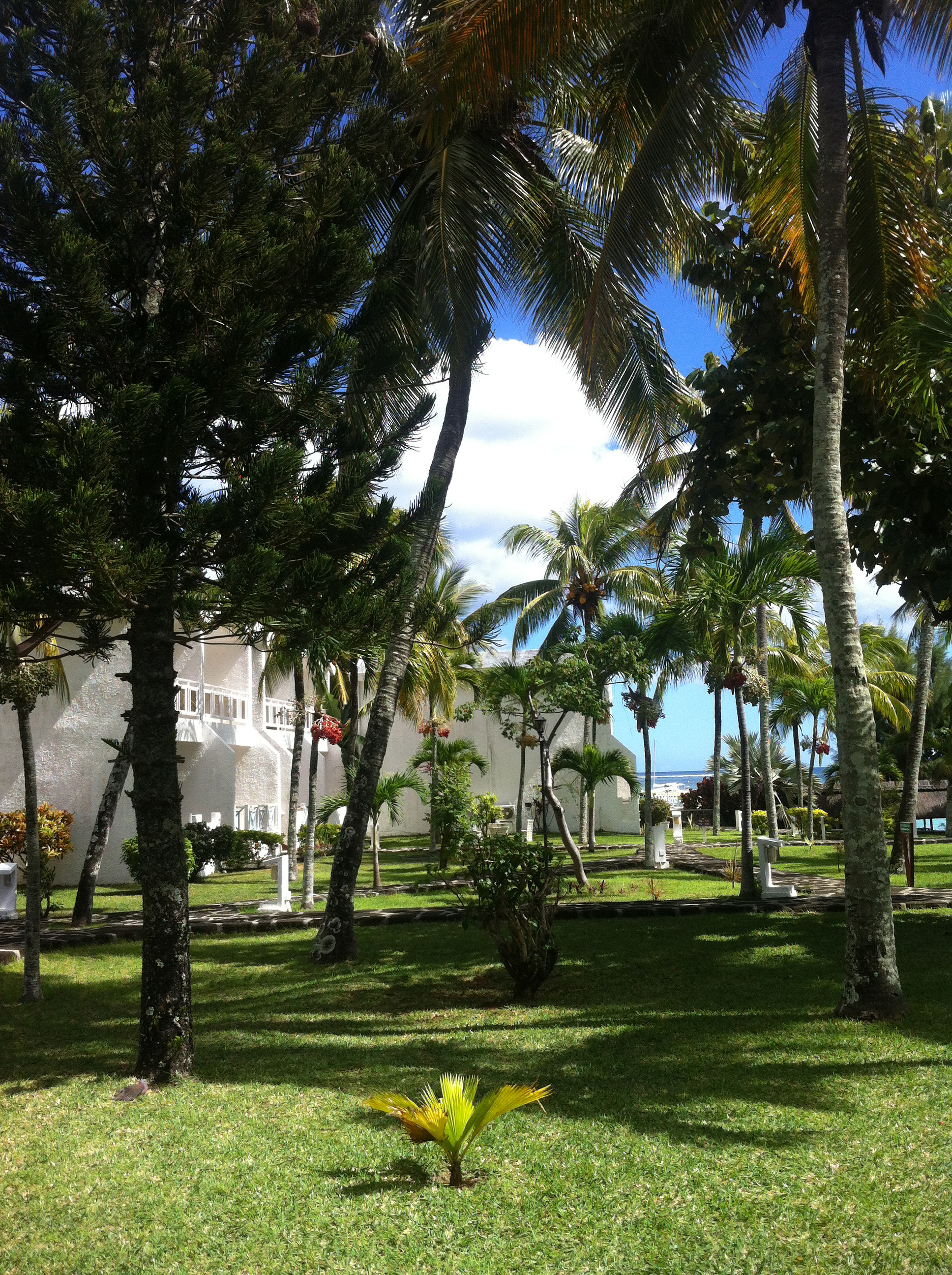 毛里求斯自由行准备,毛里求斯旅游6天5晚