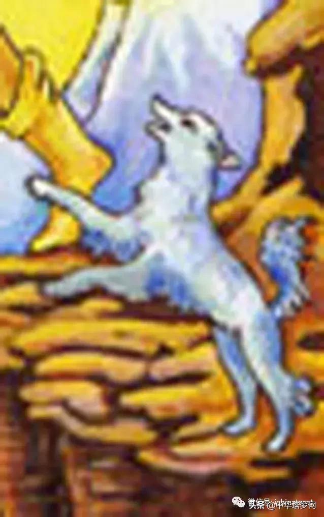 塔罗原理解读,塔罗基本原理全文