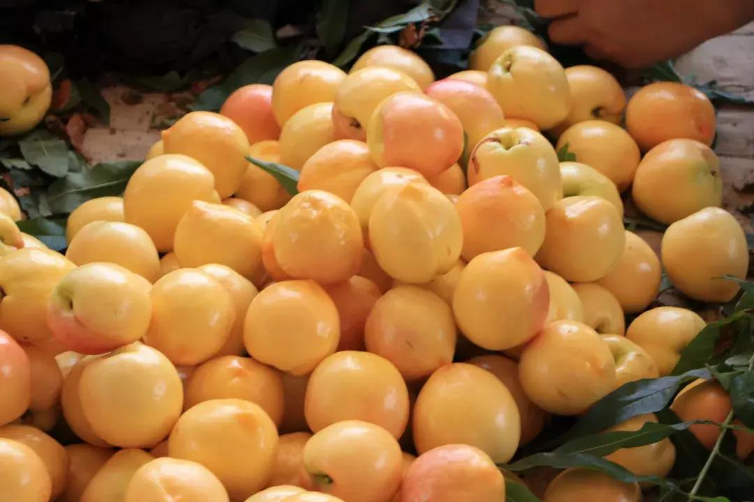 不是仙桃，胜似仙桃！甜、香、鲜的桃界新宠，老人小孩超爱吃