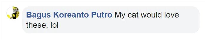 宜家小床被铲屎官们变成宠物床，日本网友：我“泡面杯床”不服