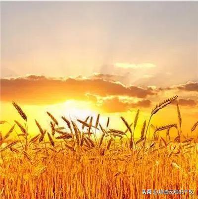 取个响亮大气的商标名字,商标起名创意名字大全集