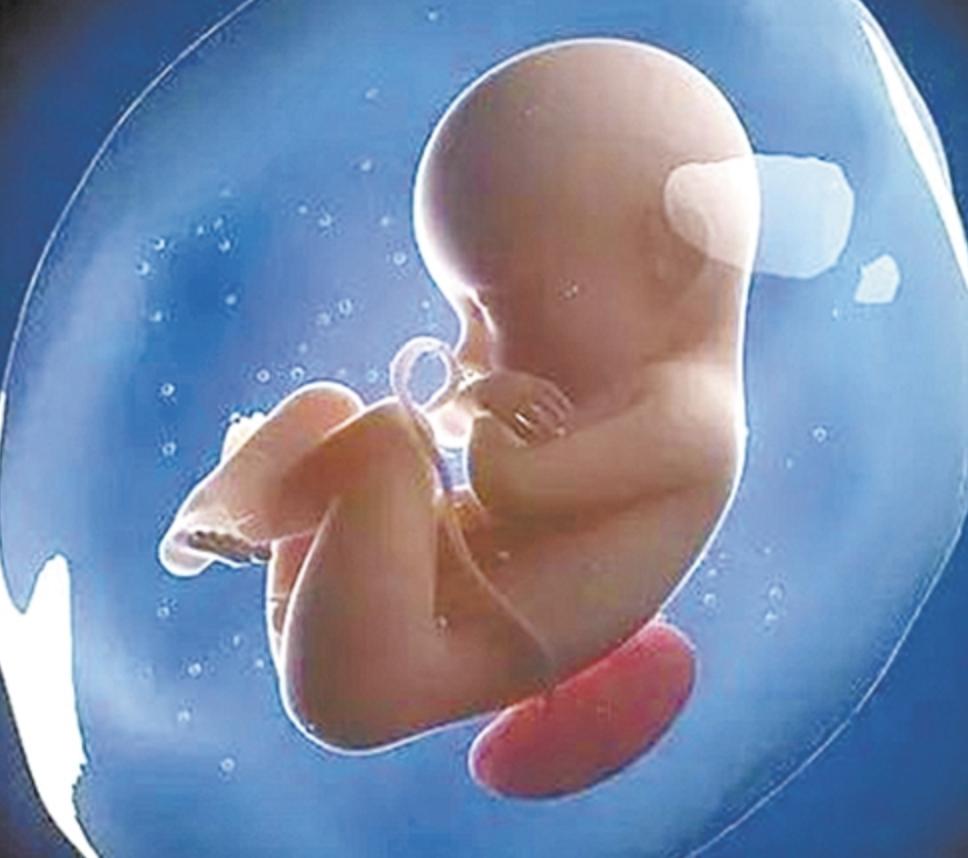 孕期同房对胎儿有什么影响？不得不说的4点好处，孕妈提前了解