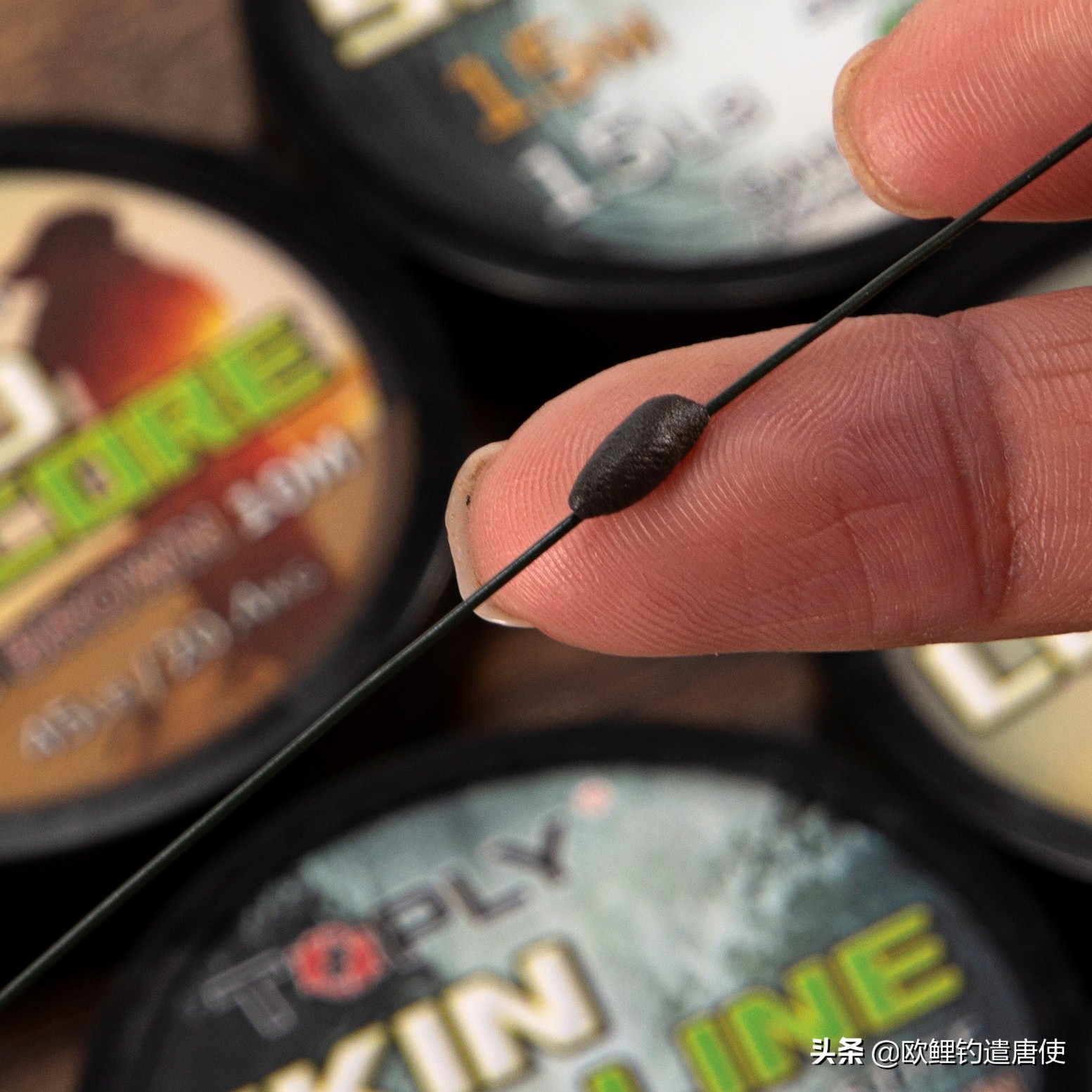 为什么鲤鱼比鲫鱼难钓,为什么鲫鱼这么难咬钩