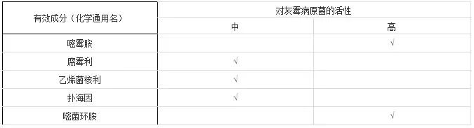 灰霉病的可怕之处——爆发迅速！对付灰霉病有没有好办法