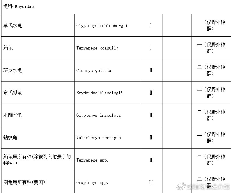 匠志萌宠乐园教学,匠志萌宠