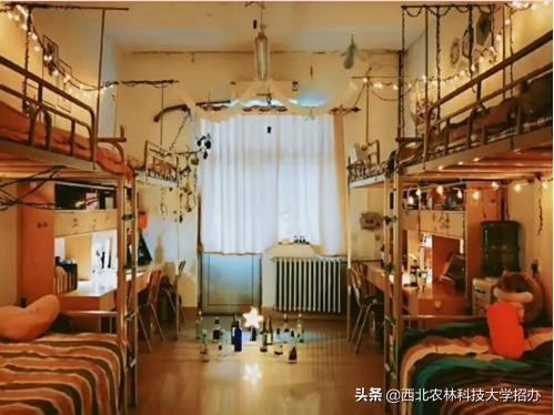 一所大学就是一座城！让你爱上西北农林科技大学的5大理由