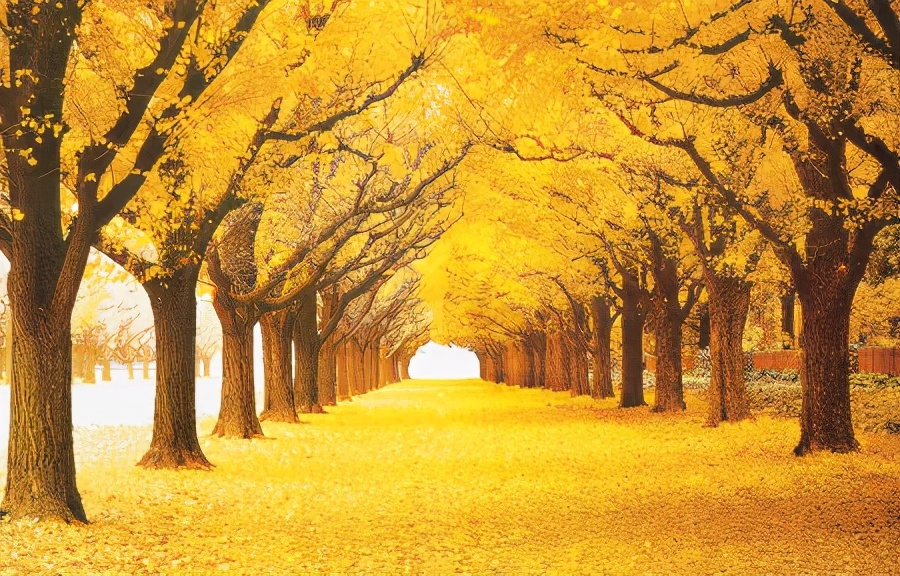 50张顶级绝美风景壁纸,绝美的海边风景图片壁纸