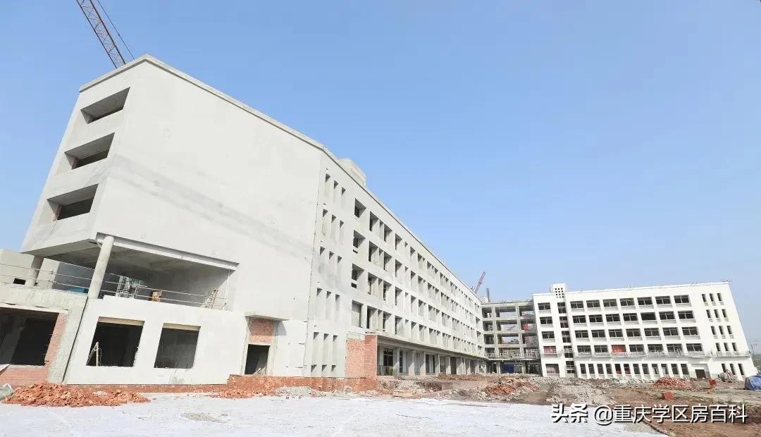 沙小、树人、七中!来看沙坪坝如何布局教育资源