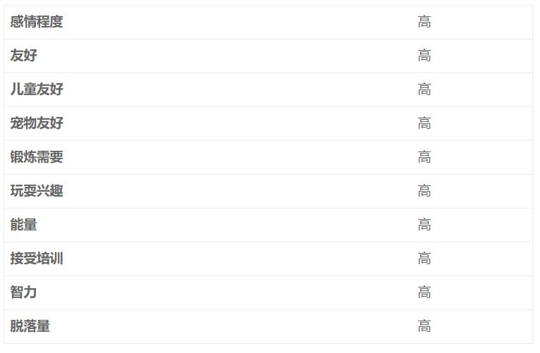 金毛寻回犬适合初次养吗,金毛寻回犬如何培养