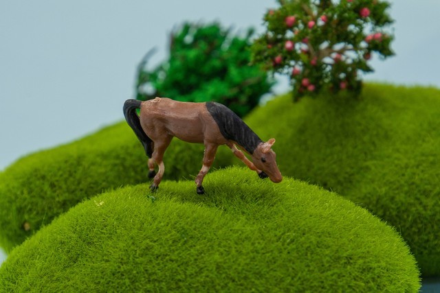 佳能eosrp套机rf24-105mmf4,佳能rf24-105mm评测