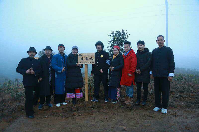 苗拳,苗拳擒拿术视频教学