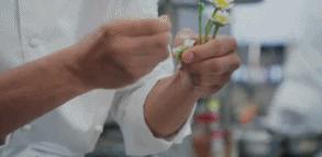 该死，他还是那么帅