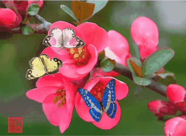 女孩用香烟名称写情书太有才了,女孩用香烟写的情书